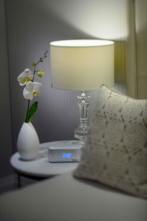 Mayfair Hotel - Accommodation Bookings 13