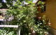 Trevalia Accommodation - thumb 7