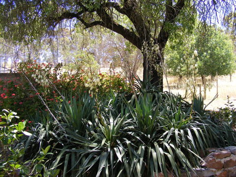Trevalia Accommodation - Accommodation Bookings 6