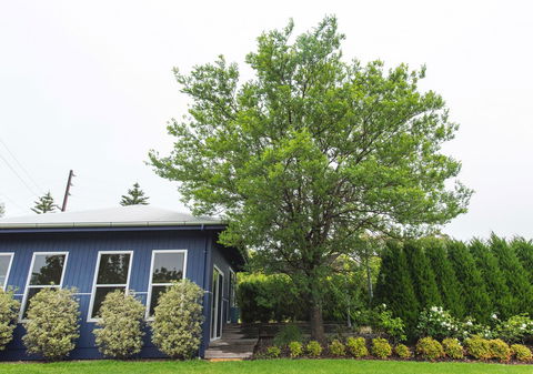 S T U D I O 22 Peaceful Retreat With Garden Views - Accommodation Bookings 11