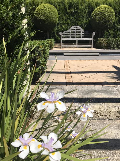 S T U D I O 22 Peaceful Retreat With Garden Views - Accommodation Bookings 13