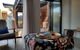 Sinclair Eco House - thumb 26