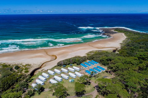 BIG4 Tasman Holiday Parks - Racecourse Beach - Accommodation Bookings 0