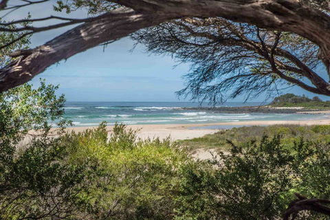 BIG4 Tasman Holiday Parks - Racecourse Beach - Accommodation Bookings 7