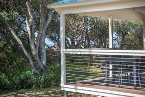 BIG4 Tasman Holiday Parks - Racecourse Beach - Accommodation Bookings 8