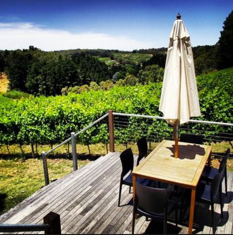 Monaco Court Apartment Adelaide - Accommodation Bookings 27
