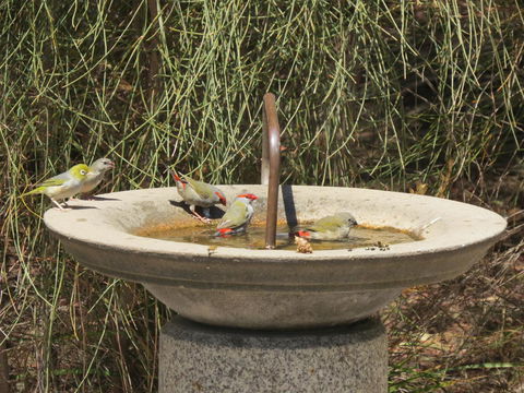 Kestrel Downs - Accommodation Bookings 24