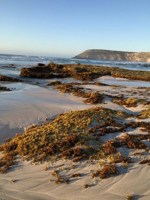 Kestrel Downs - Accommodation Bookings 34