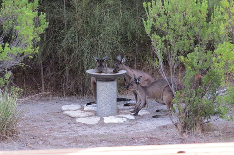 Kestrel Downs - Accommodation Bookings 23