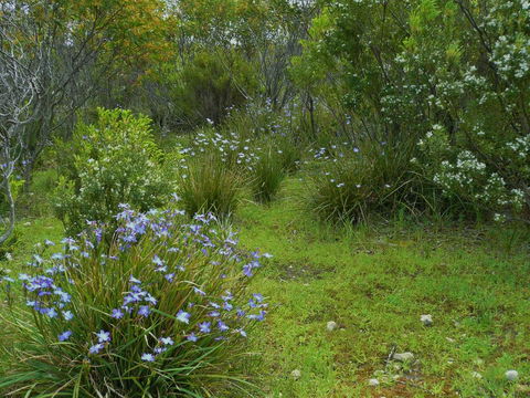 Kestrel Downs - Accommodation Bookings 32