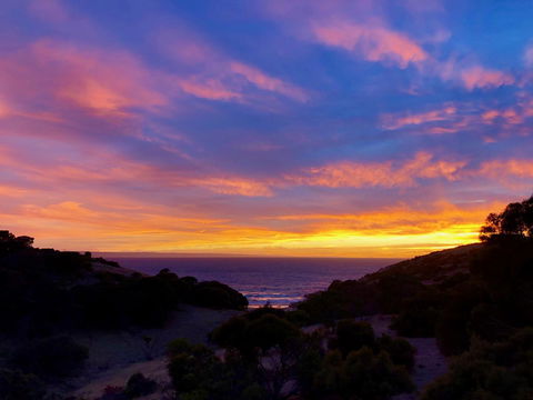 Sea Dragon Kangaroo Island - Accommodation Bookings 14