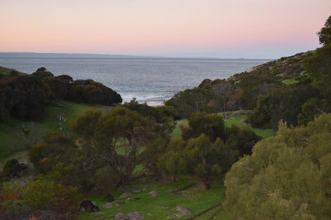 Sea Dragon Kangaroo Island - Accommodation Bookings 30