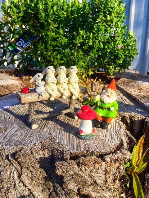 Inglenook Cottage - Accommodation Bookings 34