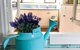 Inglenook Cottage - thumb 19