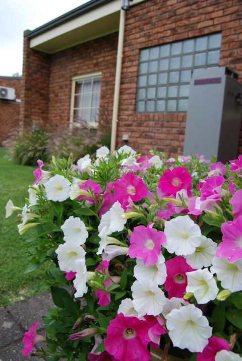 Arkana Motor Inn & Terrace Apartments - Accommodation Bookings 40