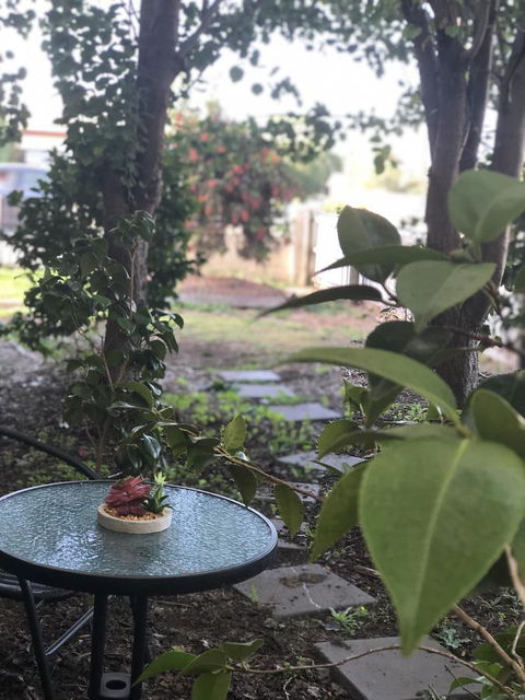Olive\'s Cottage - Accommodation Bookings 2