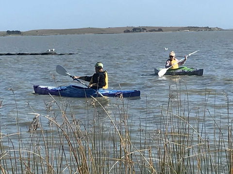 Hydeaway Bay - Own Private Bay + Kayaks - Accommodation Bookings 30