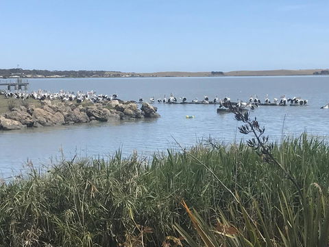 Hydeaway Bay - Own Private Bay + Kayaks - Accommodation Bookings 34