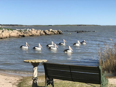 Hydeaway Bay - Own Private Bay + Kayaks - Accommodation Bookings 18