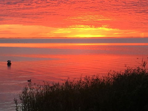Hydeaway Bay - Own Private Bay + Kayaks - Accommodation Bookings 37