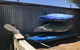 Hydeaway Bay - Own Private Bay + Kayaks - thumb 28