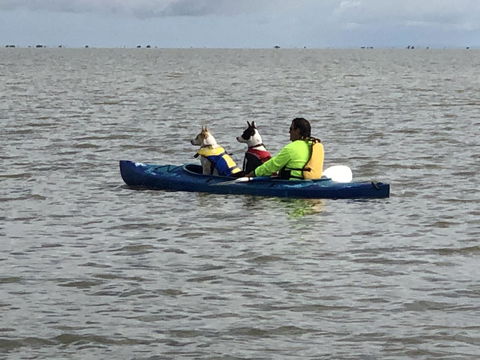 Hydeaway Bay - Own Private Bay + Kayaks - Accommodation Bookings 31