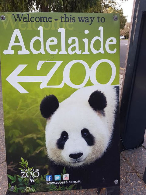 Adelaide Style Accommodation-Close To City-North Adelaide-3 Bdrm- FREE Parking - Accommodation Bookings 35