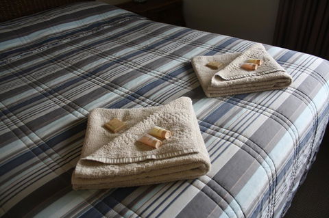 Isis Motel Scone - Accommodation Bookings 3