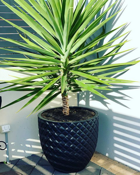 Seaview Sunset Holiday Apartments - Accommodation Bookings 4