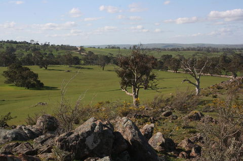 Rabbiters Hut - Accommodation Bookings 28