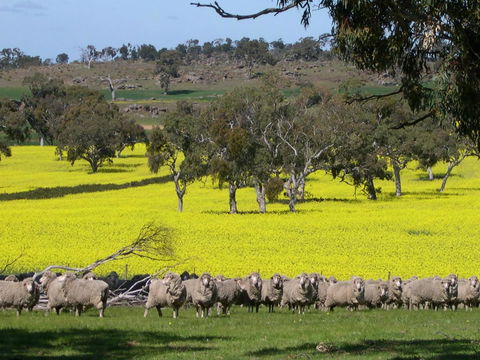 Rabbiters Hut - Accommodation Bookings 16