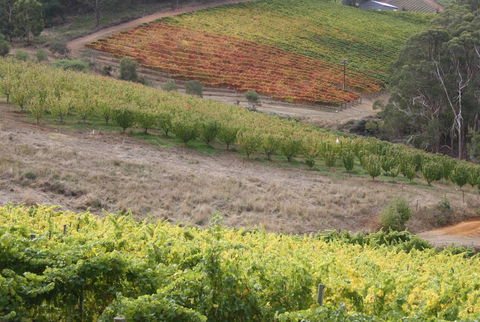 Rabbiters Hut - Accommodation Bookings 25