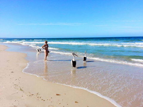 Atlantic West Beach Apartments - Accommodation Bookings 22