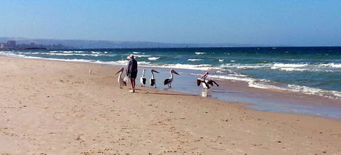 Atlantic West Beach Apartments - Accommodation Bookings 20