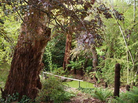 Hilltop - Accommodation Bookings 13