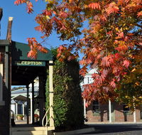 Ten Dollar Town Motel - Accommodation Bookings