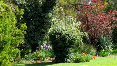 The Pig And Whistle - Accommodation Bookings 19