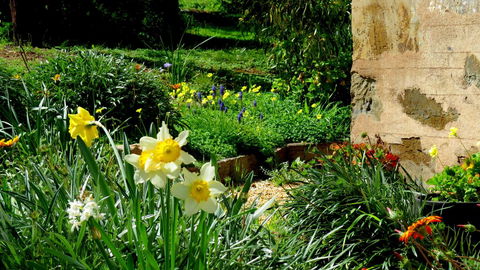 The Pig And Whistle - Accommodation Bookings 20