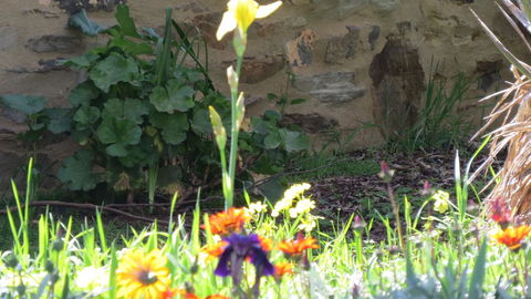 The Pig And Whistle - Accommodation Bookings 17