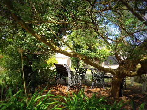 The Pig And Whistle - Accommodation Bookings 4