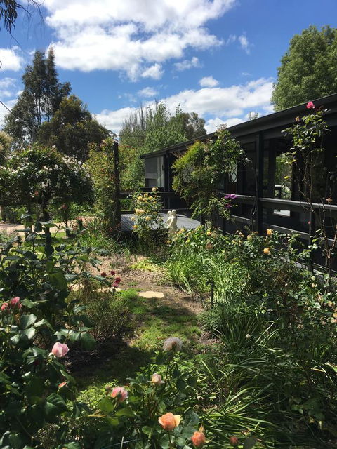 Hilltop Too - Accommodation Bookings 4