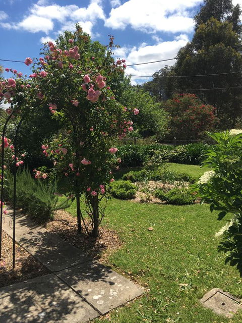 Hilltop Too - Accommodation Bookings 13