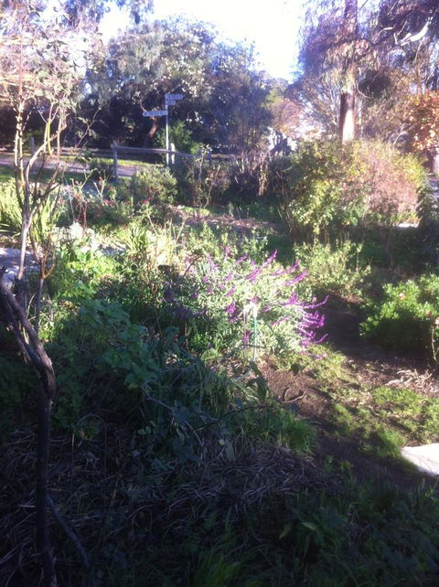 Hilltop Too - Accommodation Bookings 12