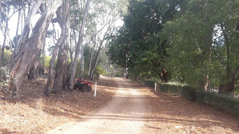 Taralee Orchards - Accommodation Bookings 4