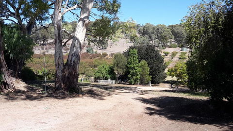 Taralee Orchards - Accommodation Bookings 3