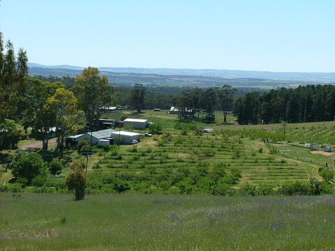 Taralee Orchards - Accommodation Bookings 0