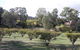 Taralee Orchards - thumb 1