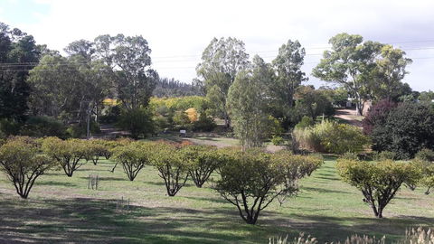Taralee Orchards - Accommodation Bookings 1