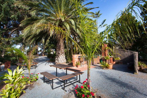 Modra\'s Apartments - Accommodation Bookings 19