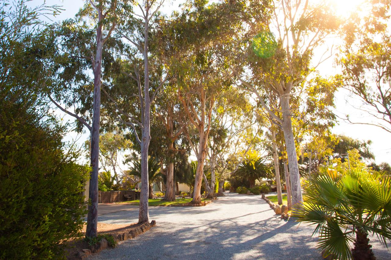 Tumby Bay SA Accommodation Bookings